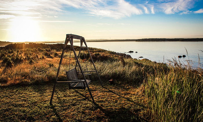 帮您管好数据的ddos工具下载