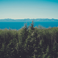 Web漏洞扫描工具