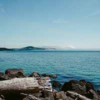 Web漏洞扫描工具